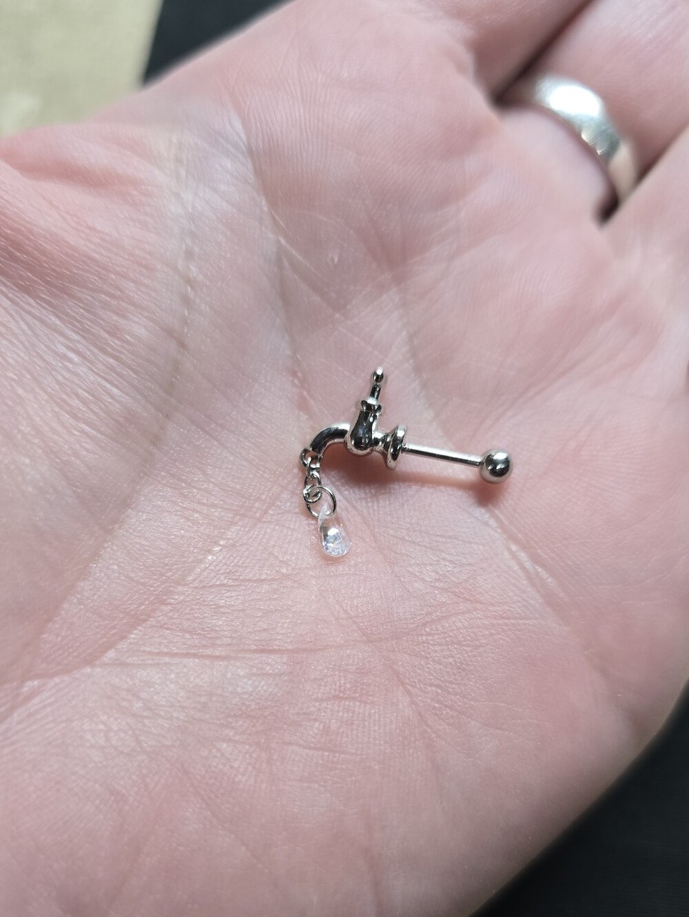 Stainless Faucet with Crystal Drip Earring